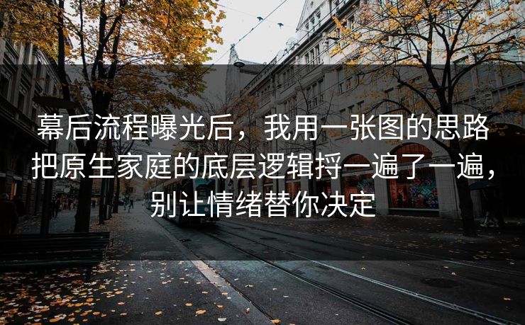 幕后流程曝光后，我用一张图的思路把原生家庭的底层逻辑捋一遍了一遍，别让情绪替你决定  第1张