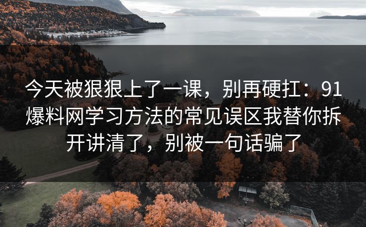 今天被狠狠上了一课，别再硬扛：91爆料网学习方法的常见误区我替你拆开讲清了，别被一句话骗了  第1张
